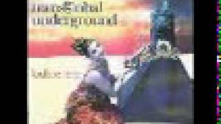 Transglobal Underground - Lookee here (dread zone mix)