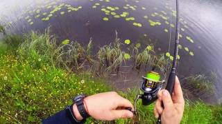 Воблеры lucky craft pointer 100 sr