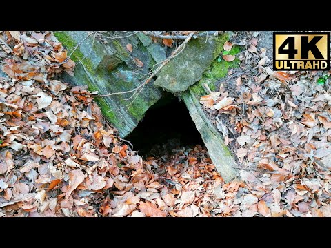 Altbergbau: verschütteter Stollen am Arzberg