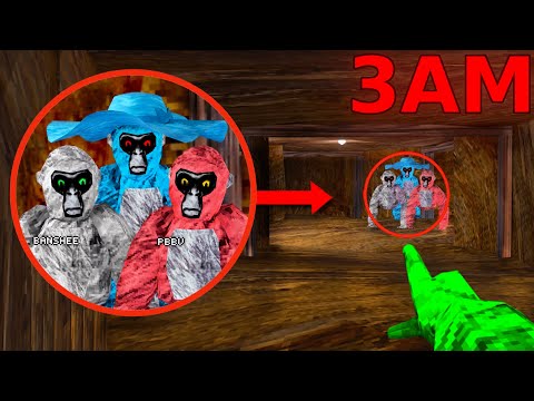 I Hunted EVERY Gorilla Tag GHOST at 3AM…