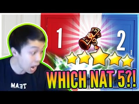 SPLENDID Blessings! Which NAT 5 To Choose?! - Transcendence Packs OP! - Summoners War