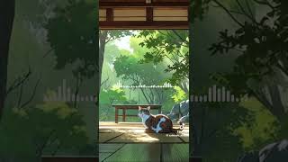 Nhạc nhẹ nhàng tiktok