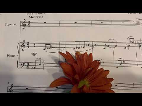 Barter — Elena Negruta