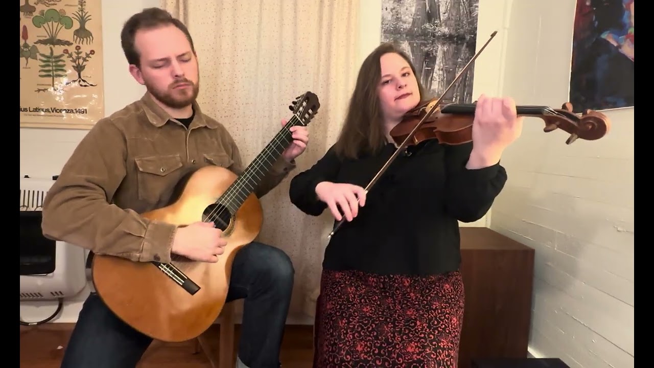Promotional video thumbnail 3 for Violinist, Michele Z