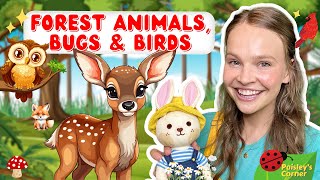 Learn Animals, Birds, & Bugs for Kids - Toddler Learning Video - Educational Video for Kids