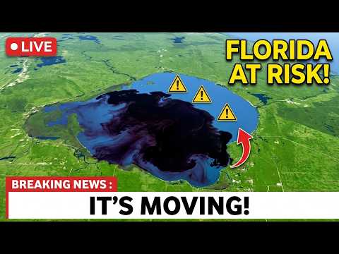 Footage From Florida Lowering Lake Okeechobee Reveals Something Moving Below Nobody Expected!
