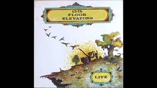13th Floor Elevators - She Lives In A Time of Her Own (live)