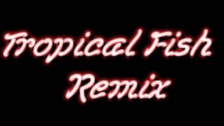 Luz Casal - Piensa en mi (Tropical Fish Remix)