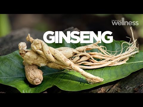 Panax ginseng extract, extracts part: root