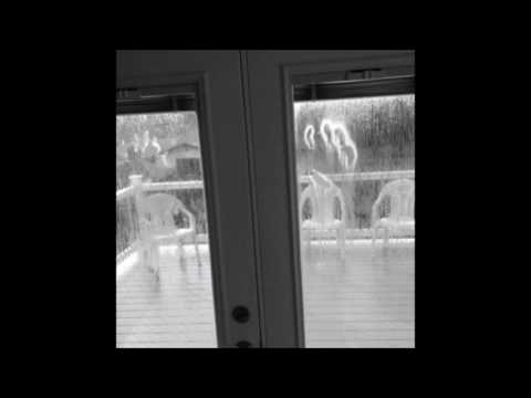 01. Kodyak - The Snow Caught Him