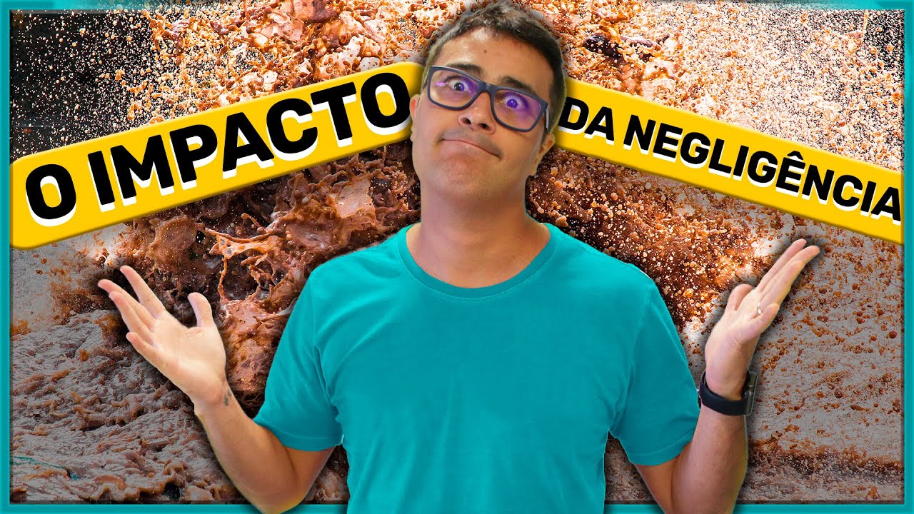 BIOACUMULAÇÃO e MAGNIFICAÇÃO TRÓFICA em Brumadinho e Mariana