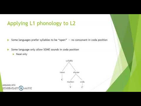 Short Review some Phonological patterns on L2 performance