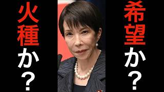【自民党国力研究会】希望か？火種か？日本は強くなるのか？