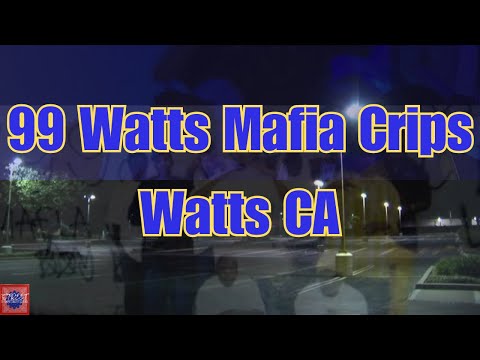 The History Of The 99 Watts Mafia Crips Street Gang In Watts CA