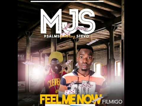 MJS Psalms ft Stevo Feel Me Now