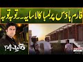 Farmhouse Par Kala Lamba Saya Tauba Tauba Sajjad Bhai Wo Kya Hai