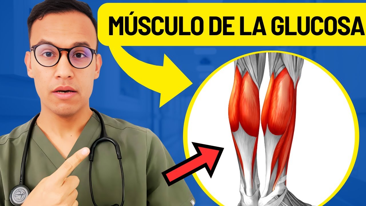 Los 6 Mejores Ejercicios para Vencer la Resistencia a la Insulina