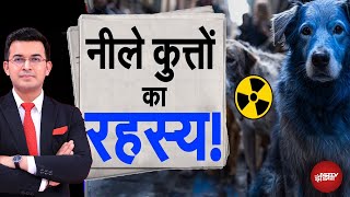 Chernobyl News: 39 साल पहले जहां आई थी परमाणु आपदा, वहां कुत्तों का रंग पड़ा नीला |Shubhankar Mishra