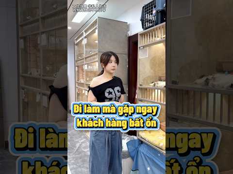 Nhân viên tiệm mèo toát mồ hôi gặp khách tâm linh 🤣🤣
