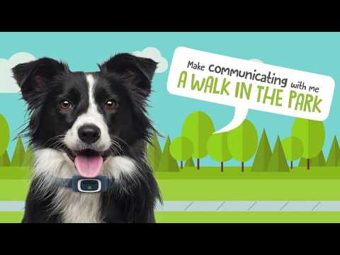 The Easiest-to-Use Dog Training Tool, Ever