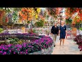 Nieuws van De Orchideeënhoeve