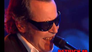 Michel Leeb - Mister Ray Charles blues - Live chez Patrick Sébastien