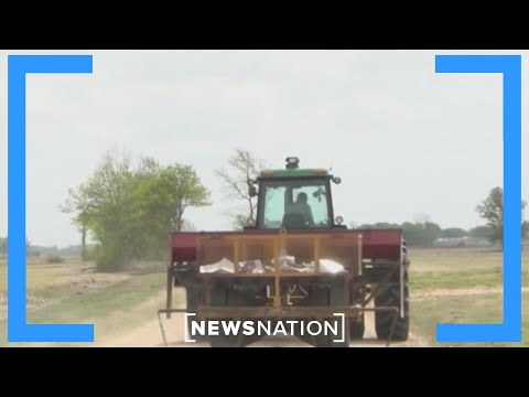 USDA launches regenerative farming pilot program | Morning in America