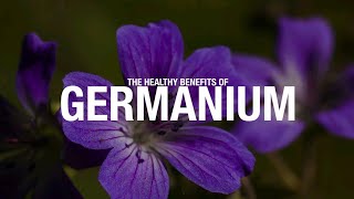 Download lagu SHOCKING FACTS! GERMANIUM CONTRIBUTE A LOT TO YOUR HEALTH. #health #facts #food #fruituniversity mp3
