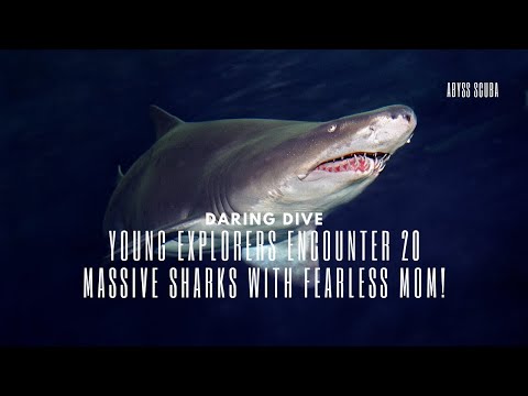 Daring Dive: Young Explorers Encounter 20 Massive Sharks with Fearless Mom!