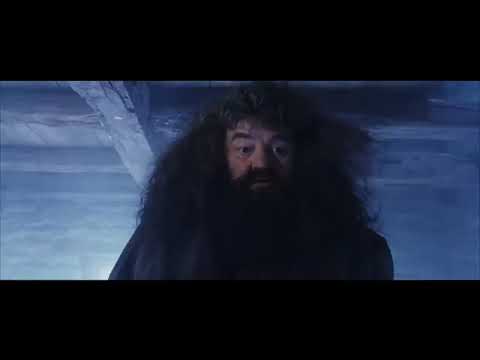 Kanga and the Pooh Part 5 - Kanga Talks to Rick Blaine and Hagrid/'It's Thomas the Tank Engine'