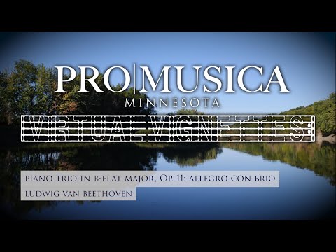 Virtual Vignette #1: Beethoven Piano Trio in Bb Major: Movement 1