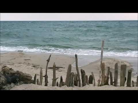 Morasten - Mot alla fyra vindar (Edith Södergran)