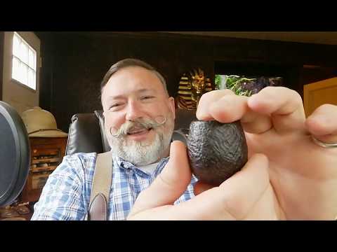 174 Hawkbill Pipe or Donkey @#% with Danny Kaye, Kramer's Tobacco