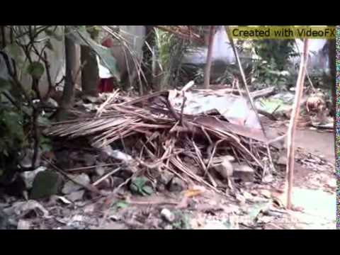 My munu cat song dipannita by MPR.mp4