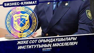Жеке сот орындаушылары институтының мәселелері