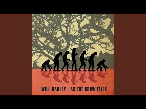 Down The Well - Will Varley