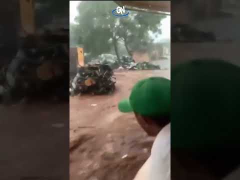 🌊🇧🇷 Temporal provoca estragos em Ribeirão Preto, SP #chuvas #saopaulo