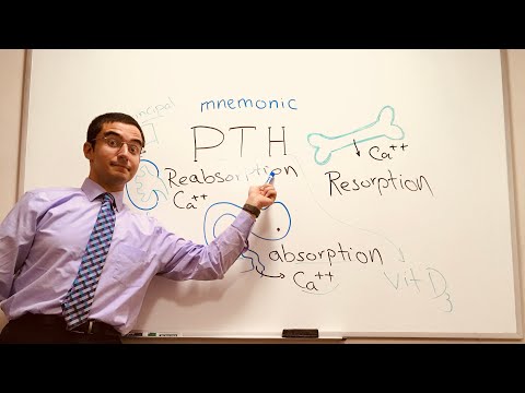 Parathyroid Hormone (PTH) - a simple Mnemonic
