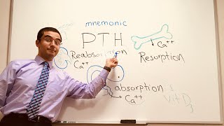 Parathyroid Hormone (PTH) mnemonic