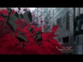 Evangelion 2.0 Teaser Trailer 720p HD