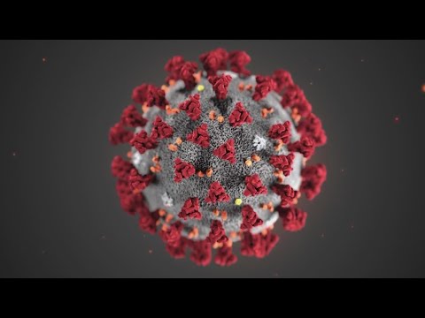 WJZ Afternoon News & Weather Update: July 20, 2021