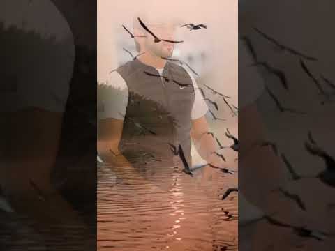 “Under The Moon… Their Souls Remembered 💫” #fazza3team #hamdanfazza