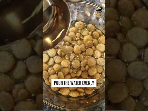 The EXACT Way To Feed Dry Food To Your Dog (Revealed!) 😱 | Dog Care | World of Dogz