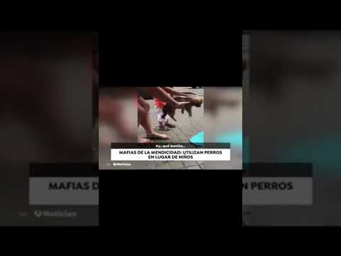 TV: Antena 3 “uso de perros mendigos”