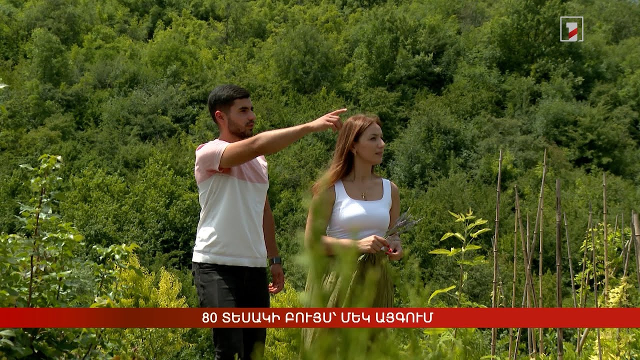 80 տեսակի բույս՝ մեկ այգում