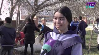 Видео