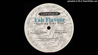 Fab Flavour - Fiesta Tribal. 2000