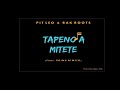 PIT LEO RAK ROOTS Ft PRINS AIMIIX TAPENO FA MITETE Audio Officiel