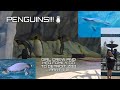 GIRL CREW AND HER FAMILY GO TO DETROIT ZOO PART 1