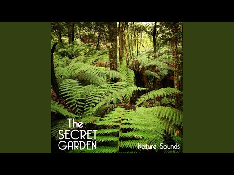 The Secret Garden Nature Sounds - Relaxing Sounds of Nature for Deep Sleep, Baby Sleep, Yoga...